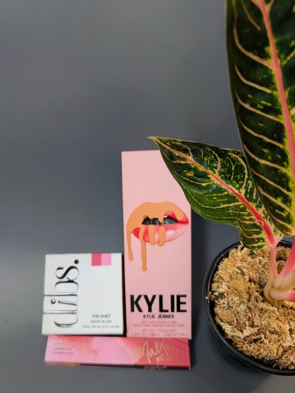 Bundle Of Dibs, Kylie, And Mallys All NIB